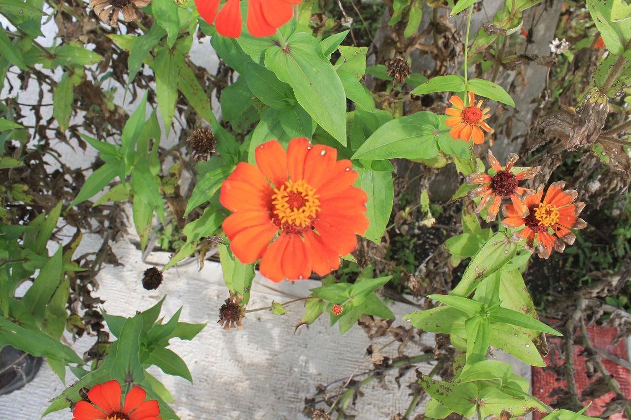Real Primaveras Campestre Escárcega 외부 사진